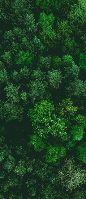 materiały - tył.jpg