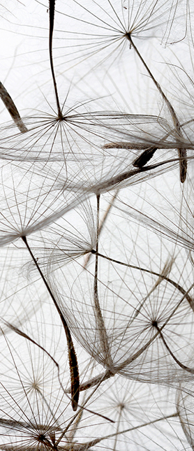 recykling - tył.jpg